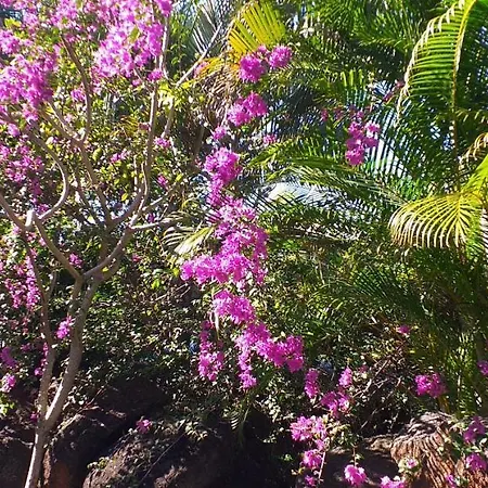 Brahmanhut - Eco Hut Experience In Harmony With Nature, Wellbeing And Spirit Bain Boeuf Exterior foto