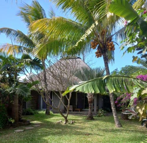 Brahmanhut - Eco Hut Experience In Harmony With Nature, Wellbeing And Spirit Privatunterkunft Bain Boeuf