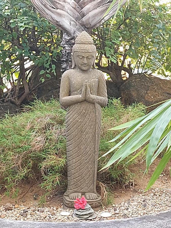Brahmanhut - Eco Hut Experience In Harmony With Nature, Wellbeing And Spirit *