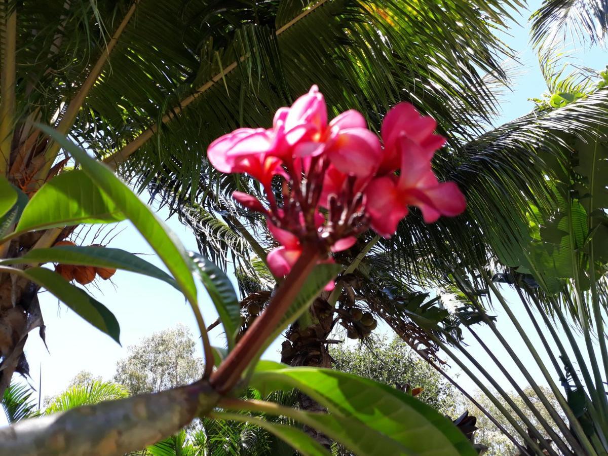 Brahmanhut - Eco Hut Experience In Harmony With Nature, Wellbeing And Spirit * Bain Boeuf