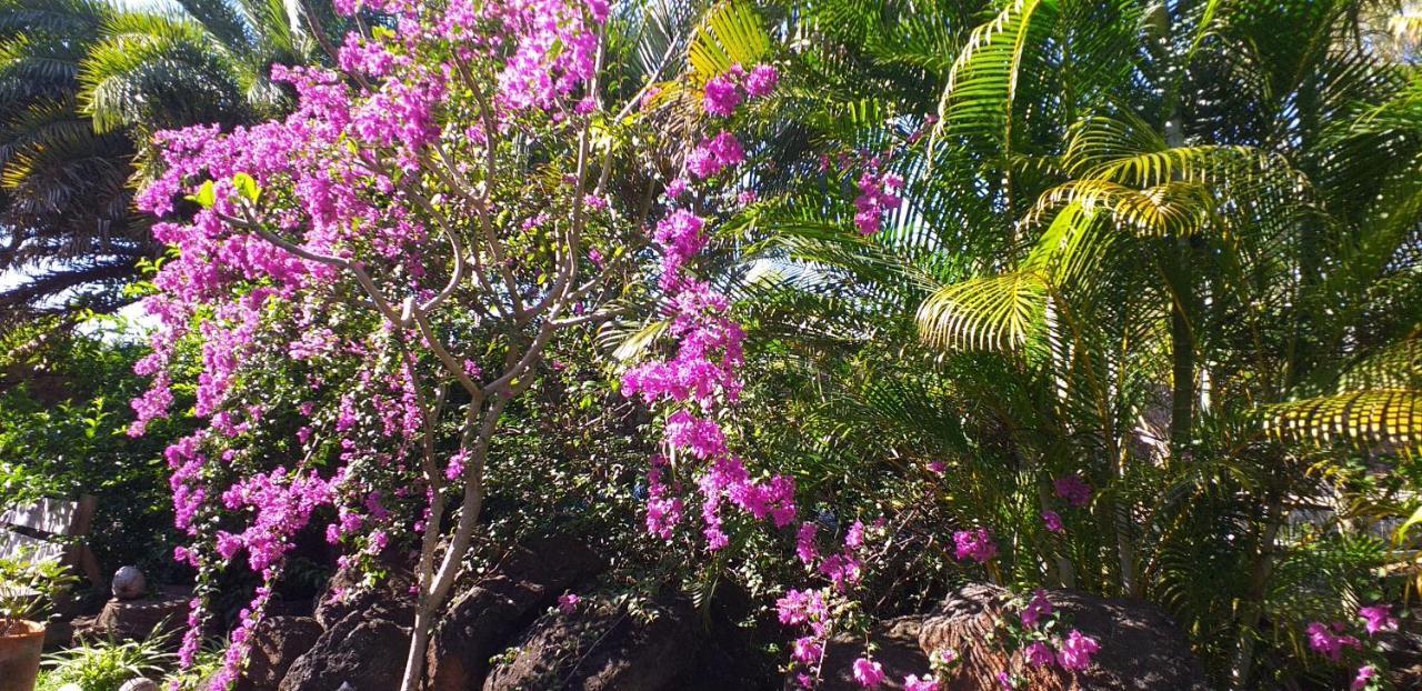 Brahmanhut - Eco Hut Experience In Harmony With Nature, Wellbeing And Spirit Séjour chez l'habitant Bain Boeuf
